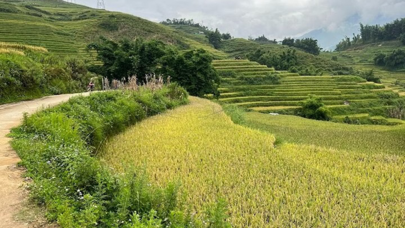 Hành Trình Khám Phá Làng Ẩn Sa Pa (2)